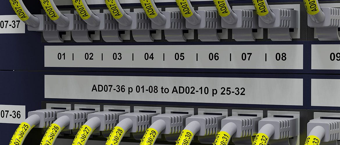 VereilerBlock mit diversen Netzwerkkabel in Häfen. Farbigte Etiketten Zur Kennzeichnung.